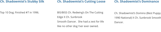Ch. Shadowmist’s Stubby Silk  Top 10 Dog; Finished #7 in 1996.     Ch. Shadowmist’s Cutting Loose   BIS/BISS Ch. Redwing’s On The Cutting Edge X Ch. Sunbrook Smooth Dancer.  She had a zest for life like no other dog I’ver ever owned.     Ch. Shadowmist’s Dominance   Ch. Shadowmist’s Domino (Best Puppy 1990 National) X Ch. Sunbrook Smooth Dancer.
